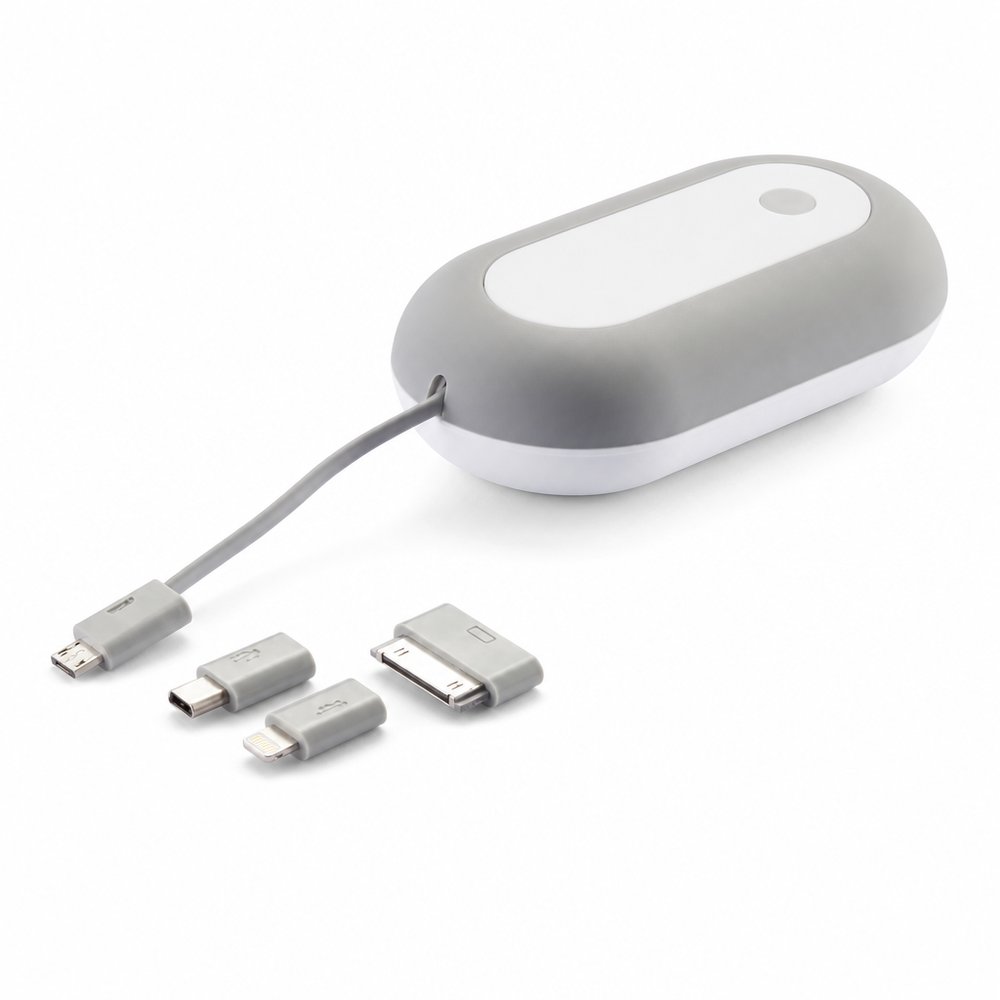 Oval Induction 3000mAh Power Bank