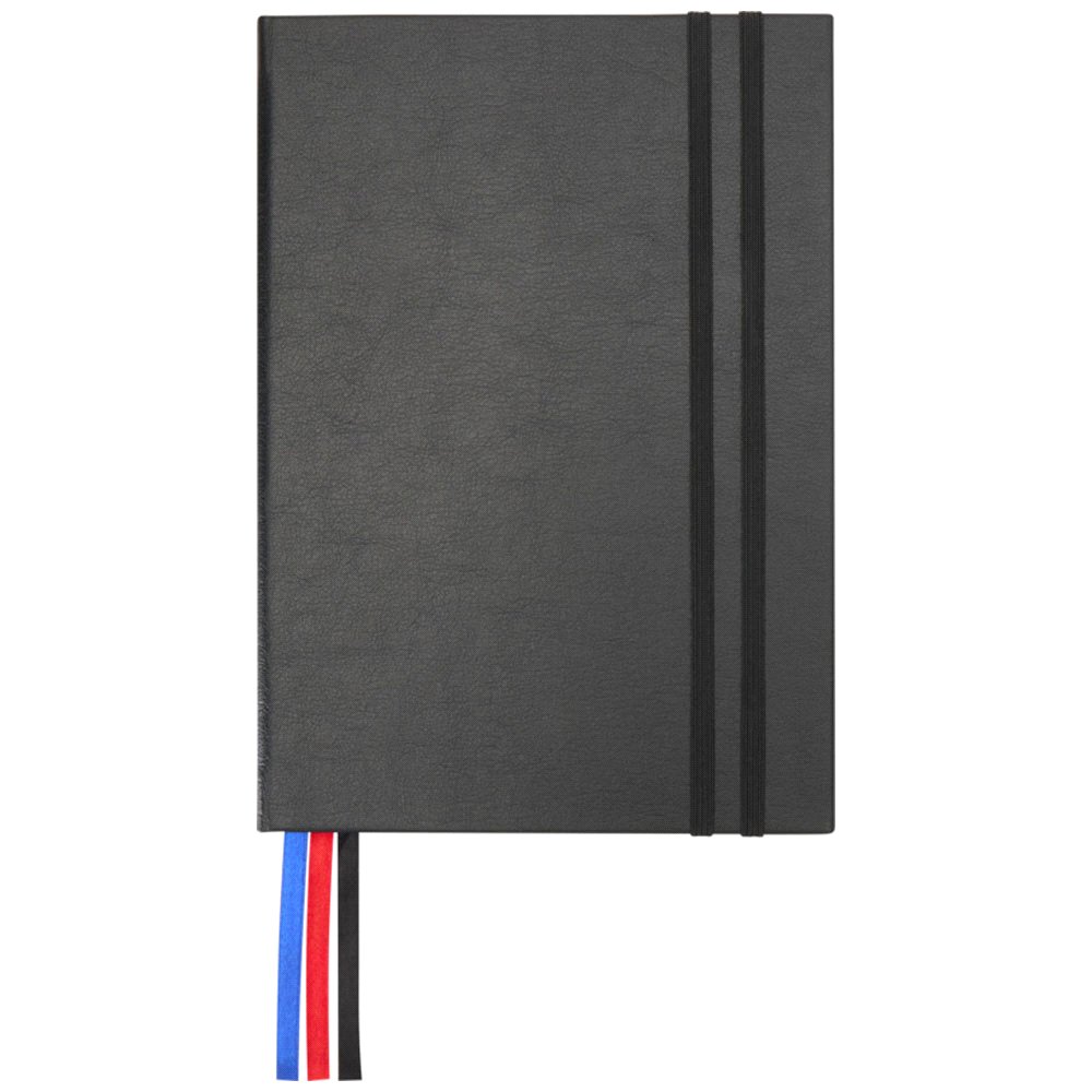 JournalBooks Alder A5 365-Page Daily Diary