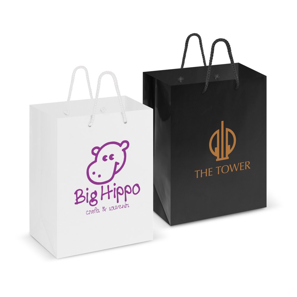 Gloss Laminated Paper Carry Bag with Rope Handles