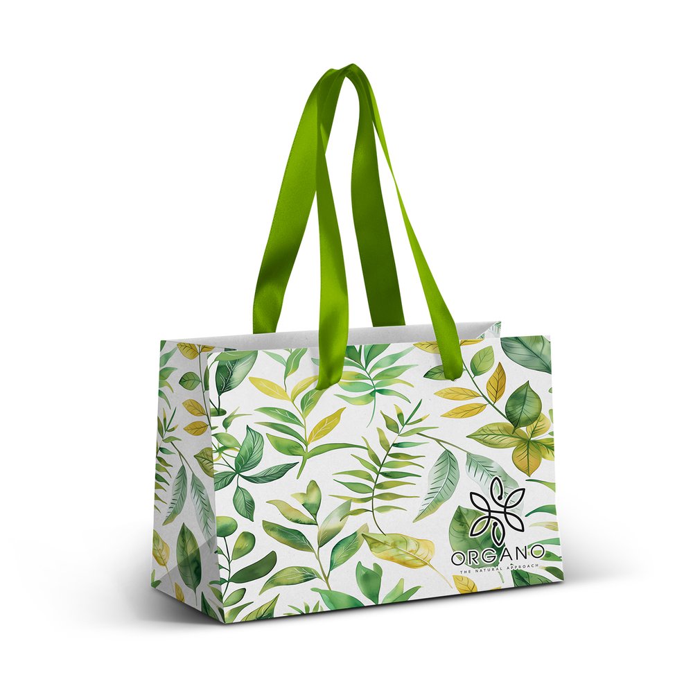 Ribbon-Handle Paper Gift Bag - Full Colour Print