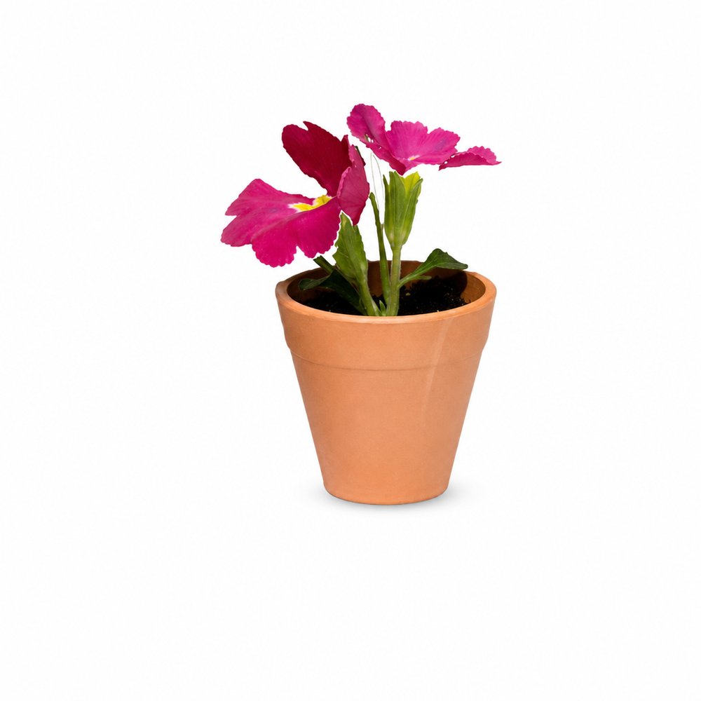 Flourish Seed Pots — Branded Grow-Your-Own Gifts