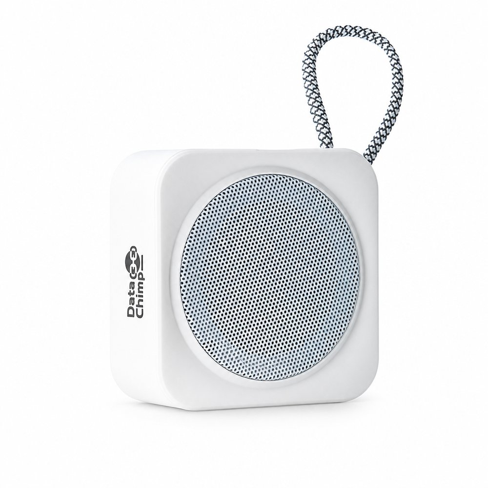 Mini Speakers