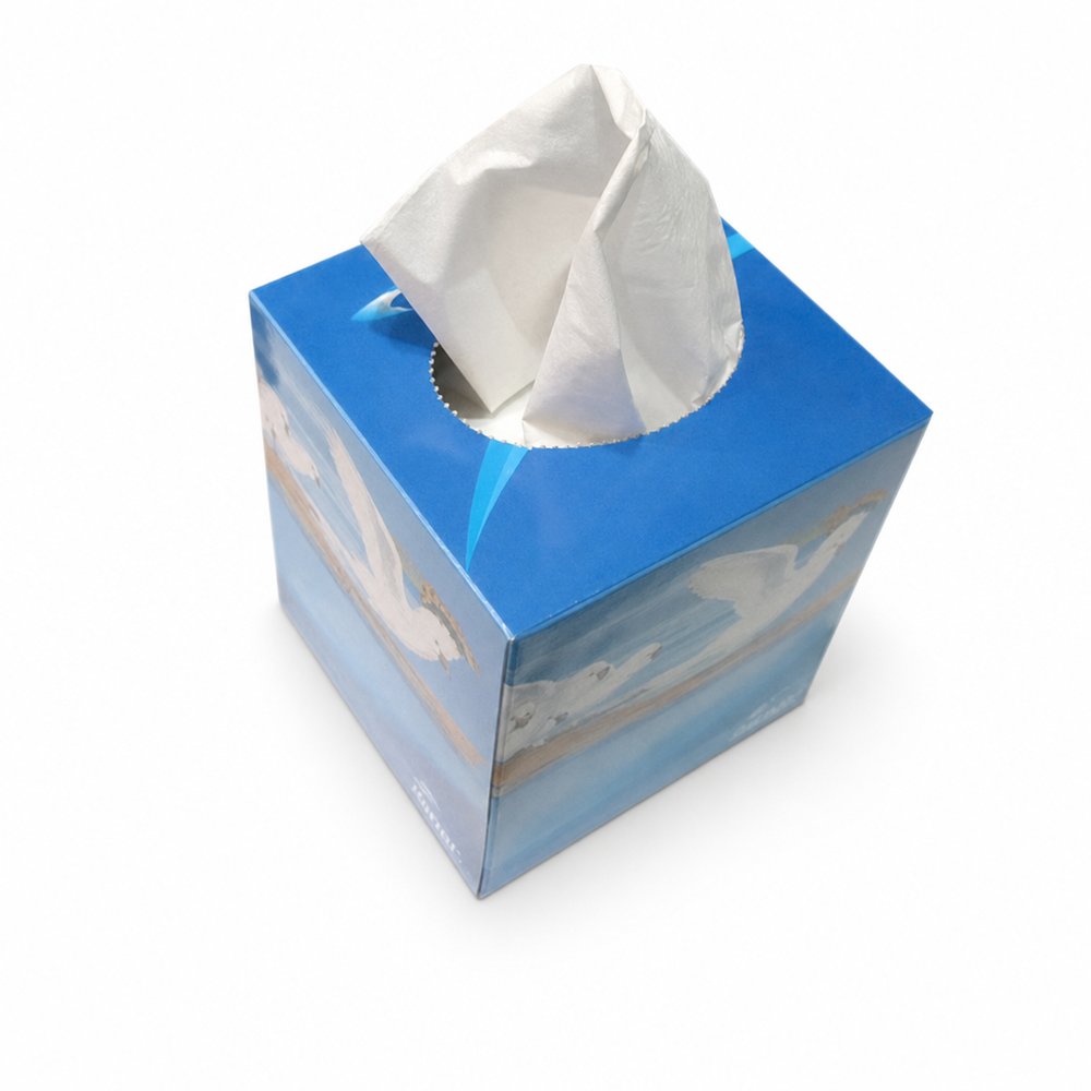 Custom Printed Square Recycled Tissue Boxes